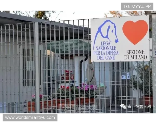 米兰在线地址详细介绍及使用方法,方便您的出行和生活安排 米兰在线地址详细介绍及使用方法,方便您的出行和生活安排