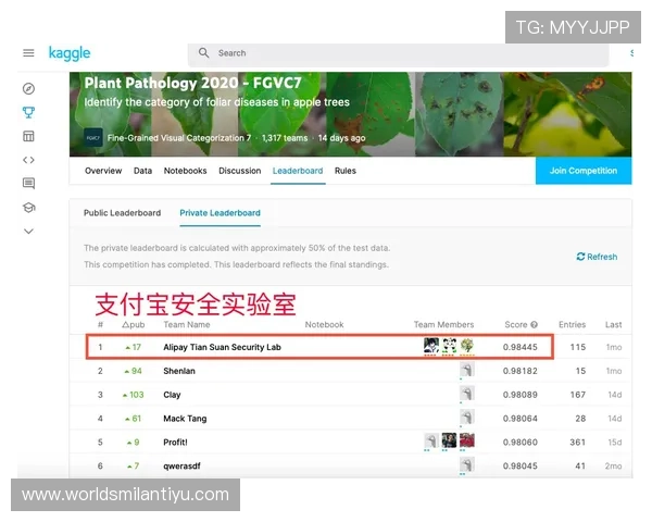 中欧体育app客服常见问题汇总，快速解决账户登录、支付异常及赛事信息咨询等用户关心的问题
