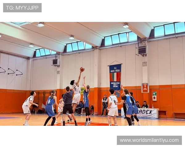 三升体育助力青少年体育教育改革的创新策略与实践经验