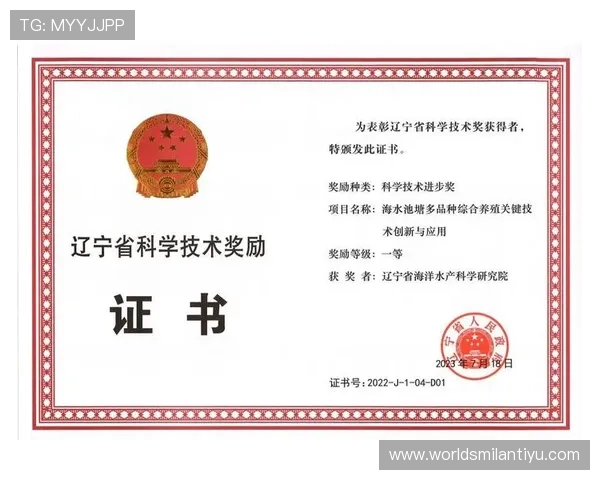 九州体育未来发展方向：创新技术应用与全球化布局带来的新机遇